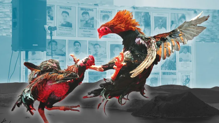 Chinh Phục Đá Gà Sabong TT128 Trực Tiếp Từ Trường Gà Quốc Tế