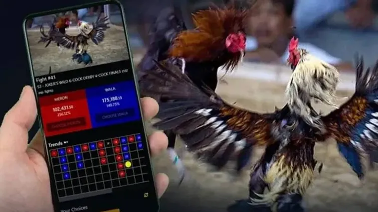 Đá Gà TT128 Trực Tiếp Sôi Động Khám Phá Ngay Kèo Cược Hấp Dẫn