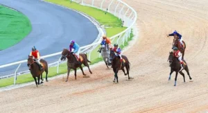 Cẩm Nang Cá Cược Đua Ngựa TT128 Chiến Thắng Mọi Vòng Đua Kịch Tính